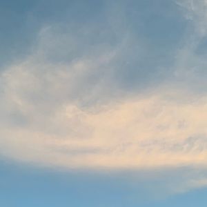 Meet your Posher, Ava